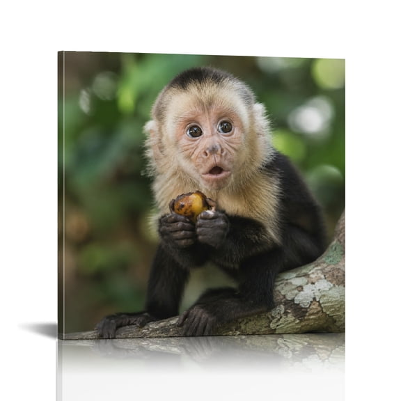 RKSupls Capuchin Monkey Eating Fruit Wall Art Canvas Print, Bathroom Wall Art, Ready to Hang Bathroom Bedroom Kitchen Dining room Wall Decor Prints