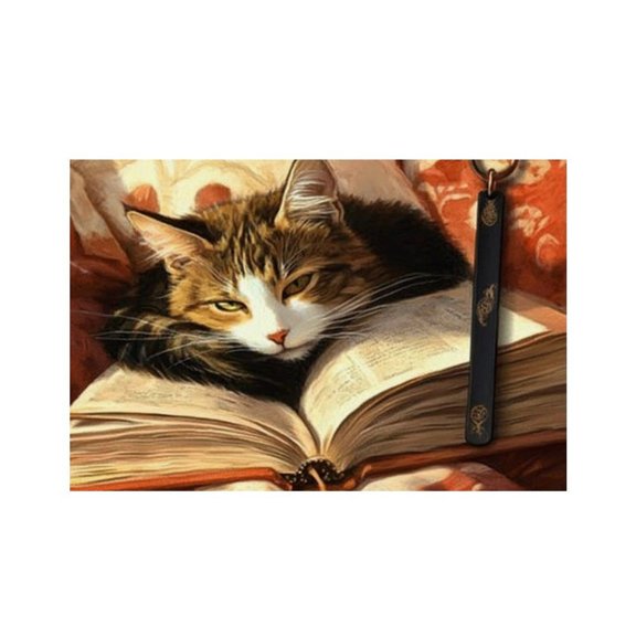 RKSupls Cat Sleeping on Book Linen Placemats 30x45cm Straight Edge Stain Resistant Washable Non-Slip Table Mats Table for Kitchen Dining Room Home