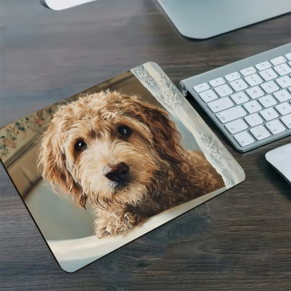 RKSupls Fluffy Dog Bathtub Diatom Mud Mouse Pad, Personalized Hard Desk Mat with Non-Slip Base, Fast Drying Washable Premium Mousepad for Gaming and Office,30*25cm