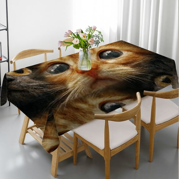 RKSupls Rectangle Dining Tablecloth, Kitten Collage Cute Print, Washable Wipeable Stain & Wrinkle Resistant Polyester Tablecloth for Kitchen Party Picnic