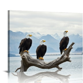 RKSupls Three Bald Eagles Perch Canvas Wall Art, Majestic Mountain Lake Wall Decor Print, Modern Artwork for Living Room Bedroom Office Home Decor,16x12in