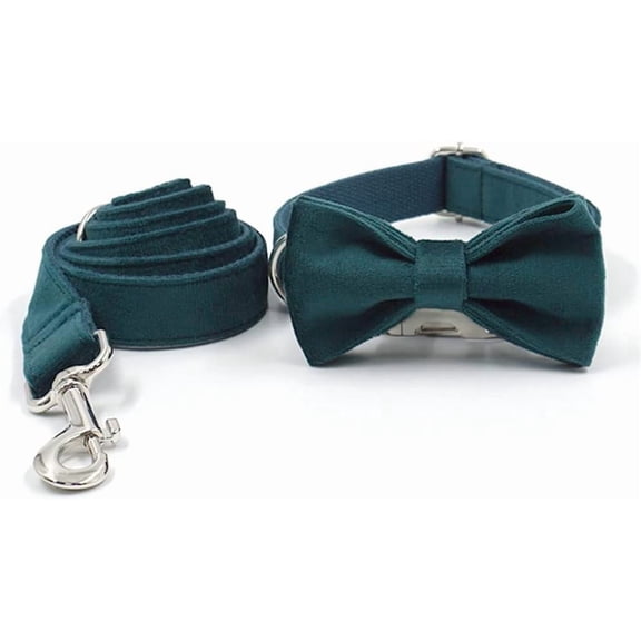 RKXQT Dog Collar Engraved ID Personalized Pet Collar with Leash for Chihuahua Boy Dog Turquoise Velvet Dog Collar and Leash Set