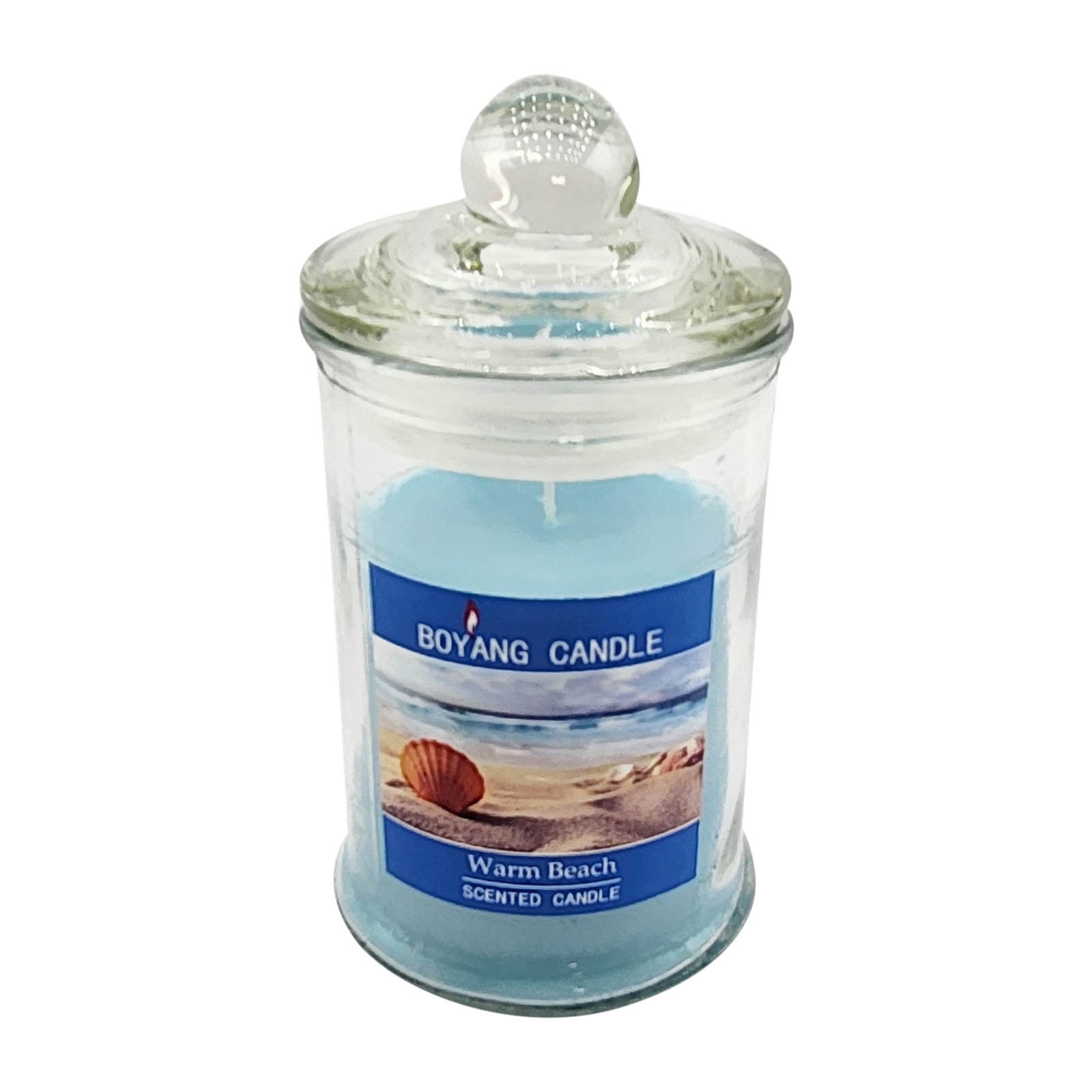 RKZDSR 1pc 90g Transparent Soy Wax Scented Candle In Clear Glass Jar ...