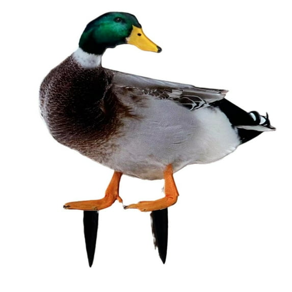 RKZDSR 3D Cubic Simulation Duck Patio Ground Plug-in Garden Yard Lawn Decorations Home Decor