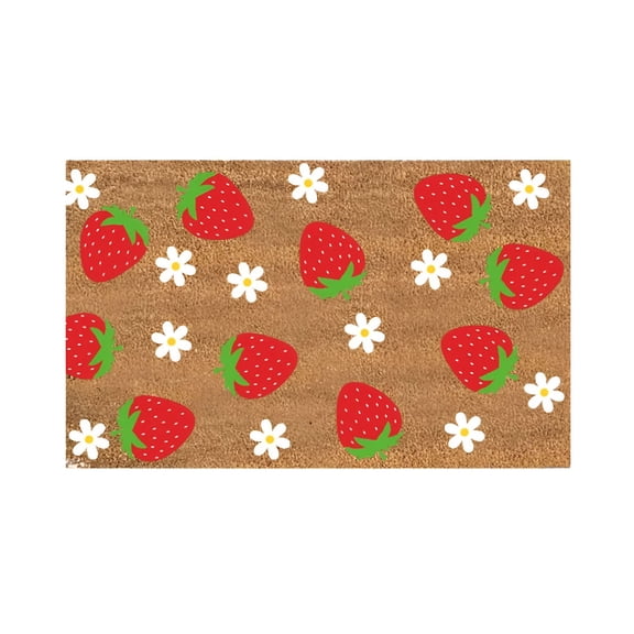 RLESO 2026 New Spring Summer Doormats Fruit Pattern Polyester Indoor and Outdoor Welcome Mat Non Slip Entry Rug Floor Mats for Front Door Kitchen Patio 16"X 24" 1 Piece