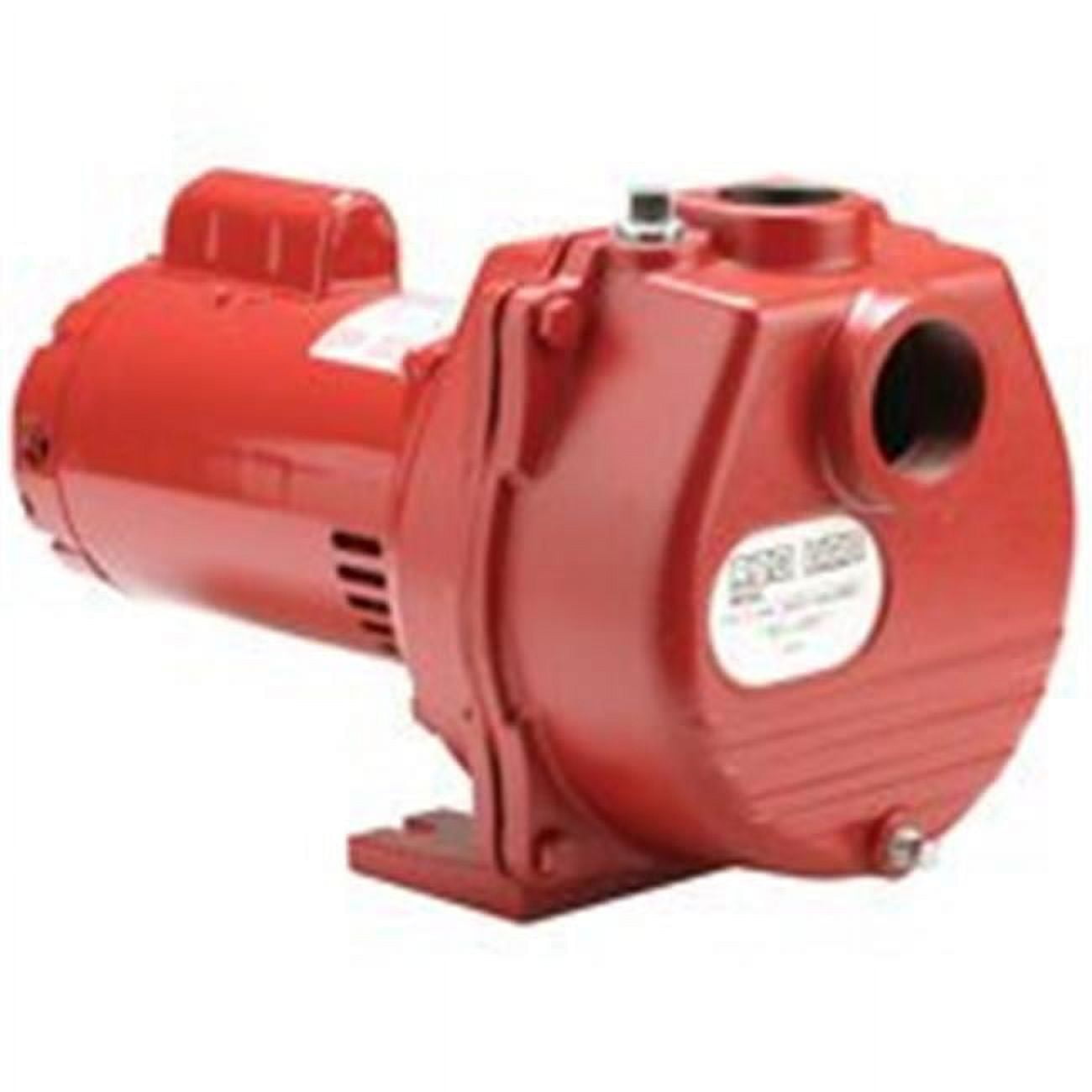 RLSP-200 2HP Lawn Sprinkler Pump-Cost Iron