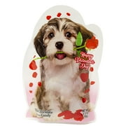 RM Palmer Party Pals Milk Chocolate Valentine's Candy, 3.5 oz