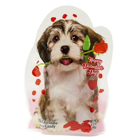 RM Palmer Party Pals Milk Chocolate Valentine's Candy, 3.5 oz