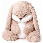 RMBCOME Grumpy Bunny Stuffed Animal, 12" Valentine's Day Plush Rabbit Stuffed Animals with Floppy Ears, Cuddly Soft Plush Toys Huggable, Perfect Valentine's Day