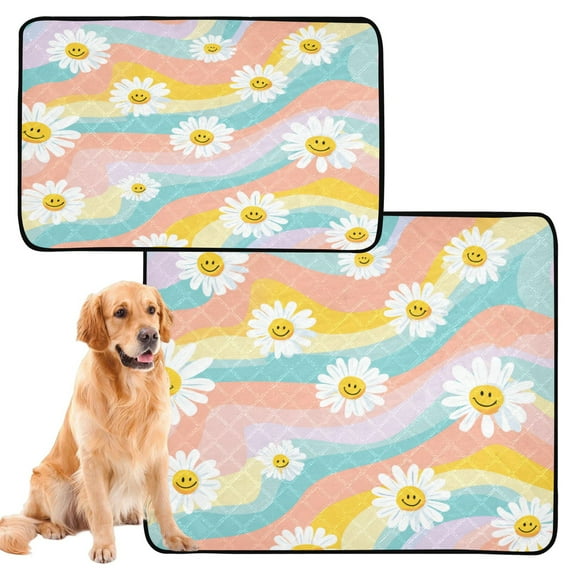 RMDQTR 2Pack Set of Medium and Large Pet Potty Pads Reusable Ultra-Absorbent Pet Training Pads Leak-Proof Pet Pads Smiling Daisies with Rainbow