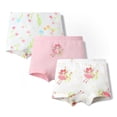 thumbnail image 1 of RMGVDSD 3 Pack Girls Underwear Soft Panites Toddler Cartoon Rainbow Boyshorts Kids Breathable Comfortable Briefs Underpants for 4-5 Years, 1 of 2