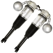 RMT V3D0-R310-ADRP - Rebuilt Rear Left and Right Air Struts Sets Set