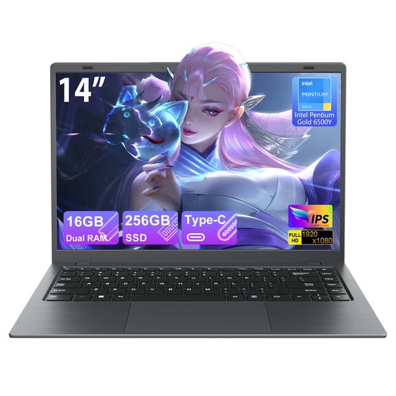 RNRUO 14" Laptop Computer, 16GB RAM 256GB SSD Intel 6500Y with 2 Cores, 1080p Display, Dual 4K Output, Type-C PD WiFi5 BT5.0, Office 2024 Windows 11 for Business Study, Dark Gray