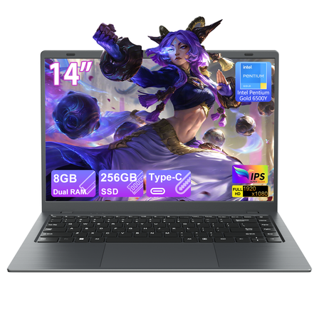 RNRUO 14" Laptop Computer, 8GB RAM 256GB SSD Intel 6500Y with 2 Cores, 1080p Display, Dual 4K Output, Type-C PD WiFi5 BT5.0, Office 2024 Windows 11 for Business Study, Dark Gray