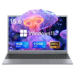 Temlicolo 14.1in Laptop, Windows 11 Pro, 8GB DDR4, 256GB SSD