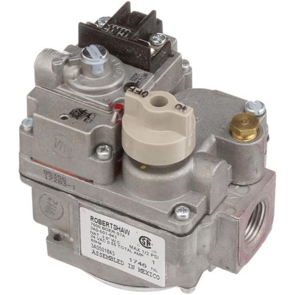 ROBERTSHAW 700-049 700049 VALVE, COMBINATION (Genuine OEM Part)
