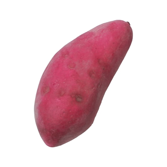 ROCKROK Artificial Sweet Potato Fake Simulation Vegetables Foam for Home Kitchen Decoration Display Early Education Props