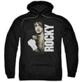 thumbnail image 1 of ROCKY/PAINTED ROCKY-ADULT PULL-OVER HOODIE-BLACK-3X, 1 of 1