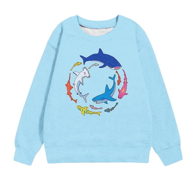 ROLKFUK Boys Sweatshirts, Pullover Printed Long Sleeve Spring and