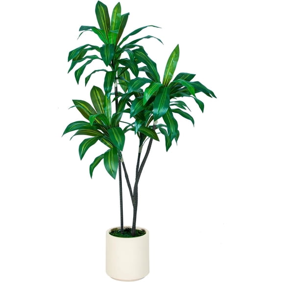 ROMSWI 5FT Artificial Dracaena Tree with White Planter, Faux Tree with Lifelike Leaves Natural Wood Trunk, Fake Tropical Plant for Home Office Decor
