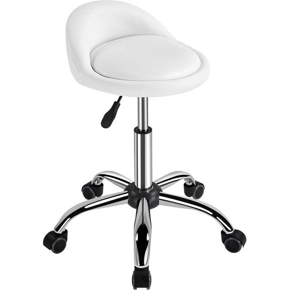 RONG-3 Height Adjustable Rolling Swivel Salon Stool Chair Hydraulic Ergonomic with Backrest Wheels for Tattoo Massage Facial Spa Manicure Dentist Clinic,White