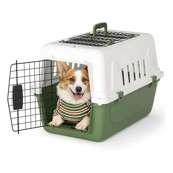 RONG-3 Pets Plastic Carrier, 22-Inch Hard-Sided 2-Door Top-Loading Kennel for Small Dogs and CatsLonger Traveling, Durable Handle, and 4 Sides Ventilation for Pet Up 22 lbs (White+Green)