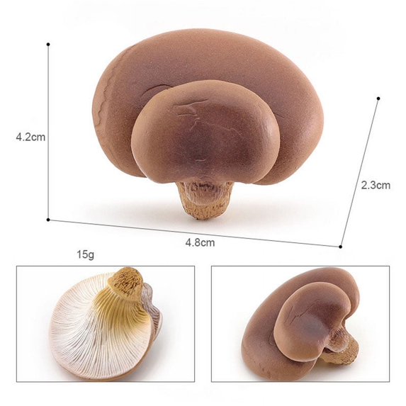 RONSHIN Simulation Vegetable Plant Figurines Realistic Mushroom Action Figure Children Cognitive Educational Toys
