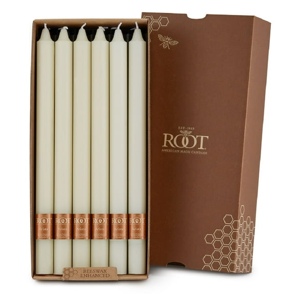 ROOT 12 inch Unscented Smooth Arista Taper Candles box of 12 Ivory
