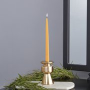 ROOT Candles Hand-Dipped 9-Inch Taper Dinner Candles, 12-Count, Butterscotch