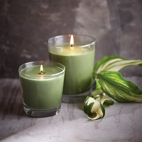 ROOT Candles Hosta 6.3 oz Small Veriglass Jar