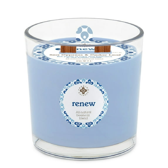 ROOT Candles Seeking Balance® Multi Wood Wick Aromatherapy Spa Candle, 12 Ounce, Renew: Eucalyptus Menthol