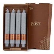 ROOT Candles Unscented Timberline  Collenette Taper Candles, 9-Inch Tall, Box of 4, Platinum