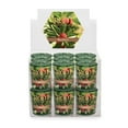 thumbnail image 1 of ROOT Votive Candles, Bayberry Scented, 20 Burn Time, 18-Pack, 1 of 6