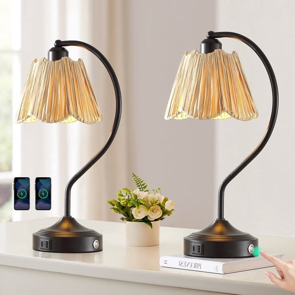 RORIA 18" Curved Black Table Lamp Set of 2, Touch-Control Three-Level Dimming with USB A+C Charging Ports, Rustic Farmhouse Style Perfect for Living Room or Bedside Table Lighting