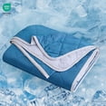thumbnail image 1 of ROSEKIND Cooling Comforter for Hot Sleepers, OEKO-TEX Certified Lightweight Blanket, Soft & Breathable Cooling Quilt, 80x90in, Iced Lavender, 1 of 8