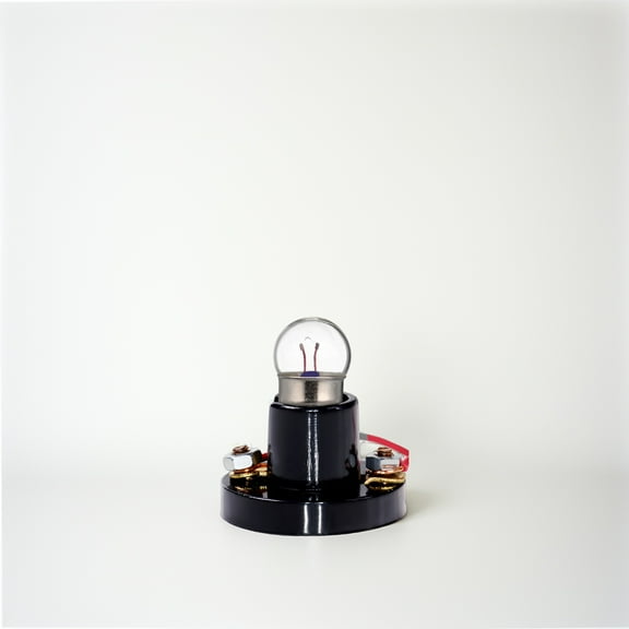 ROSENICE 10 Pcs Miniature Screw Base Light Bulbs Replacement E10 Mini Bulbs for Physical Electrical Experiment