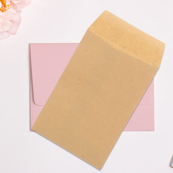ROSENICE 100 Pcs Seed Envelope Mailers Small Envelopes for