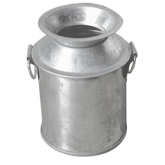ROSENICE 1Pcs Small Iron Vase for Gardening Enthusiasts Rustic Style Mini Milk Jug 2.4x1.8x1.6in