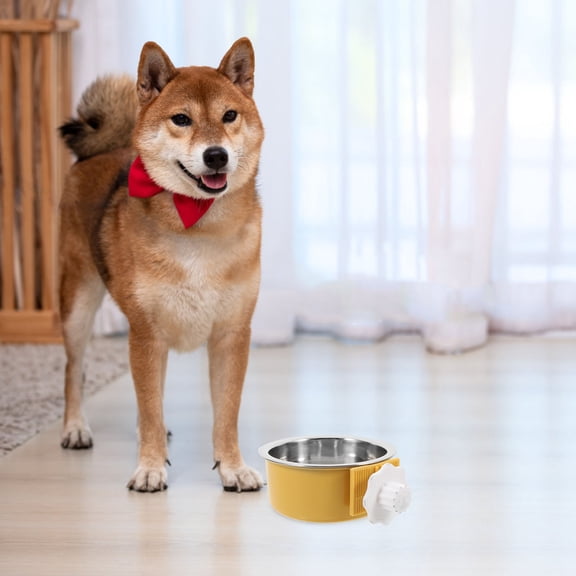 ROSENICE Dog Bowel Pet Bowl Yellow Stainless Steel 1Pack for Daily Use