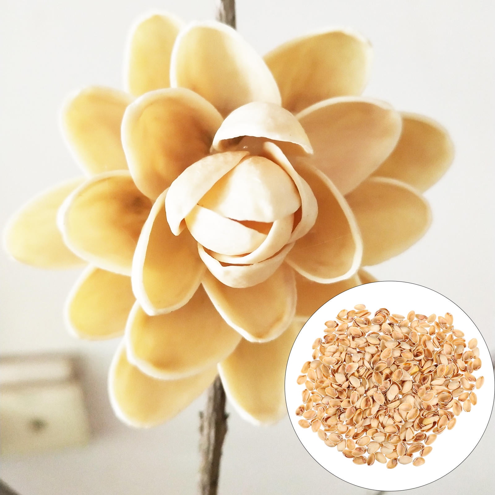 ROSENICE Pistachio Shell Craft Kits for Kids Shells Decorating Child ...