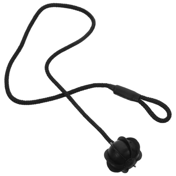 ROSENICE Rear Trunk Storage Strap Car Partition Rope Black Plastic 1Set For Car Use