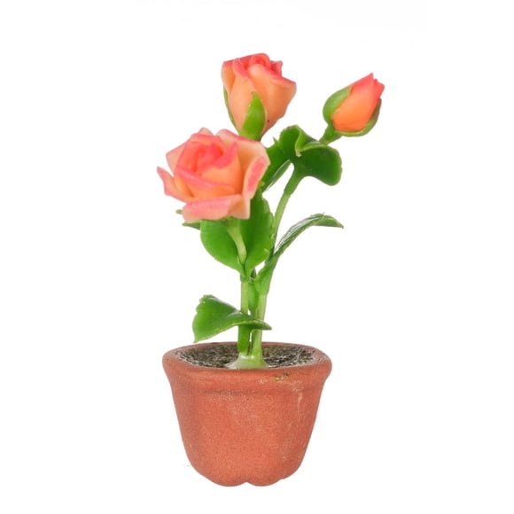 Miniature Roses
