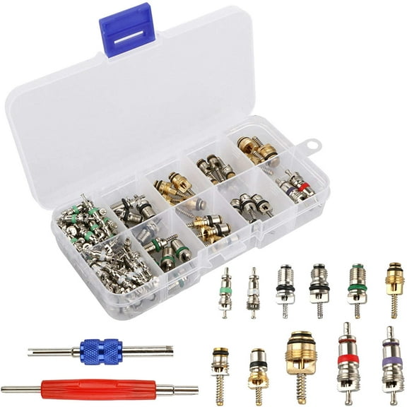 ROSY PIXEL Car Air Conditioning Core Valves 102Pcs,R12 R134A Automotive A/C Valve Stem Cores w/Removal Tool for Car Air Contitionaing Repair