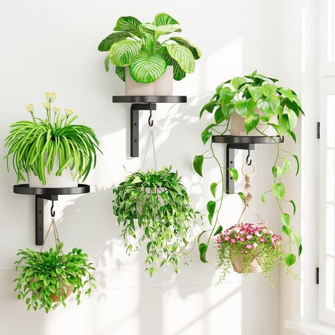 ROSYNEY 3 Pack Wall Plant Holder, Metal Hanging Plant Shelves with Hooks, Floating Window Plant Stand for Indoor Outdoor Plants, Black (Pots/Plants Not Included)