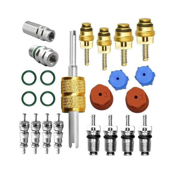 ROVTECT 23PC AC Valve Core Kit for Car Air Conditioning Systems R12 R134a Type