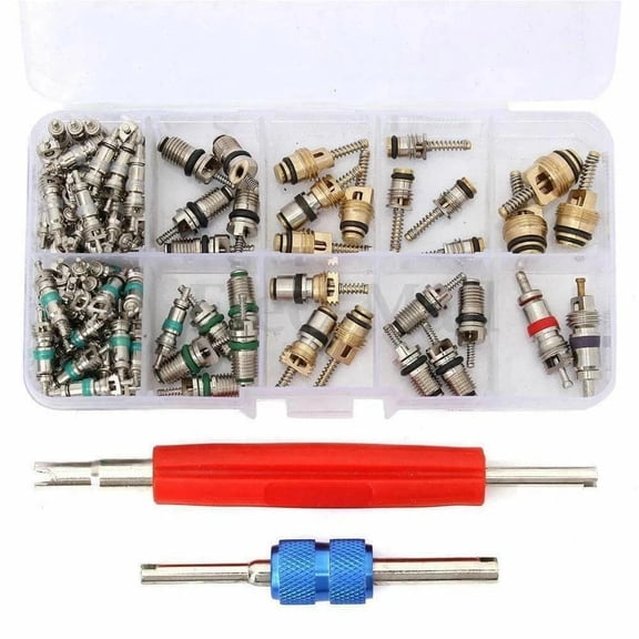 ROVTECT Valve Core Kit 102 pcs for Automotive Air Conditioning Repair For R12 R134a