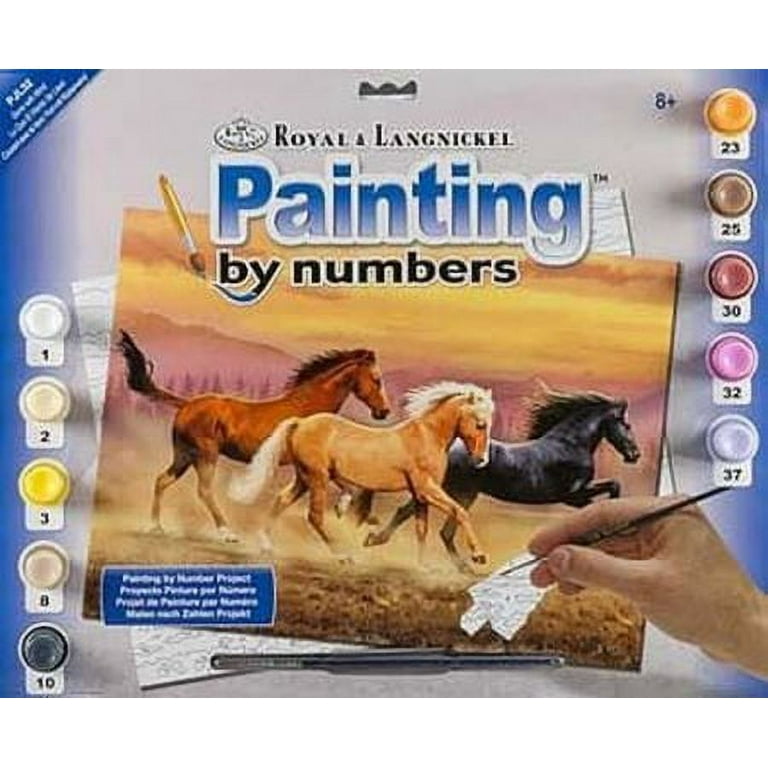 Three Horses Painting kit to Paint by Numbers