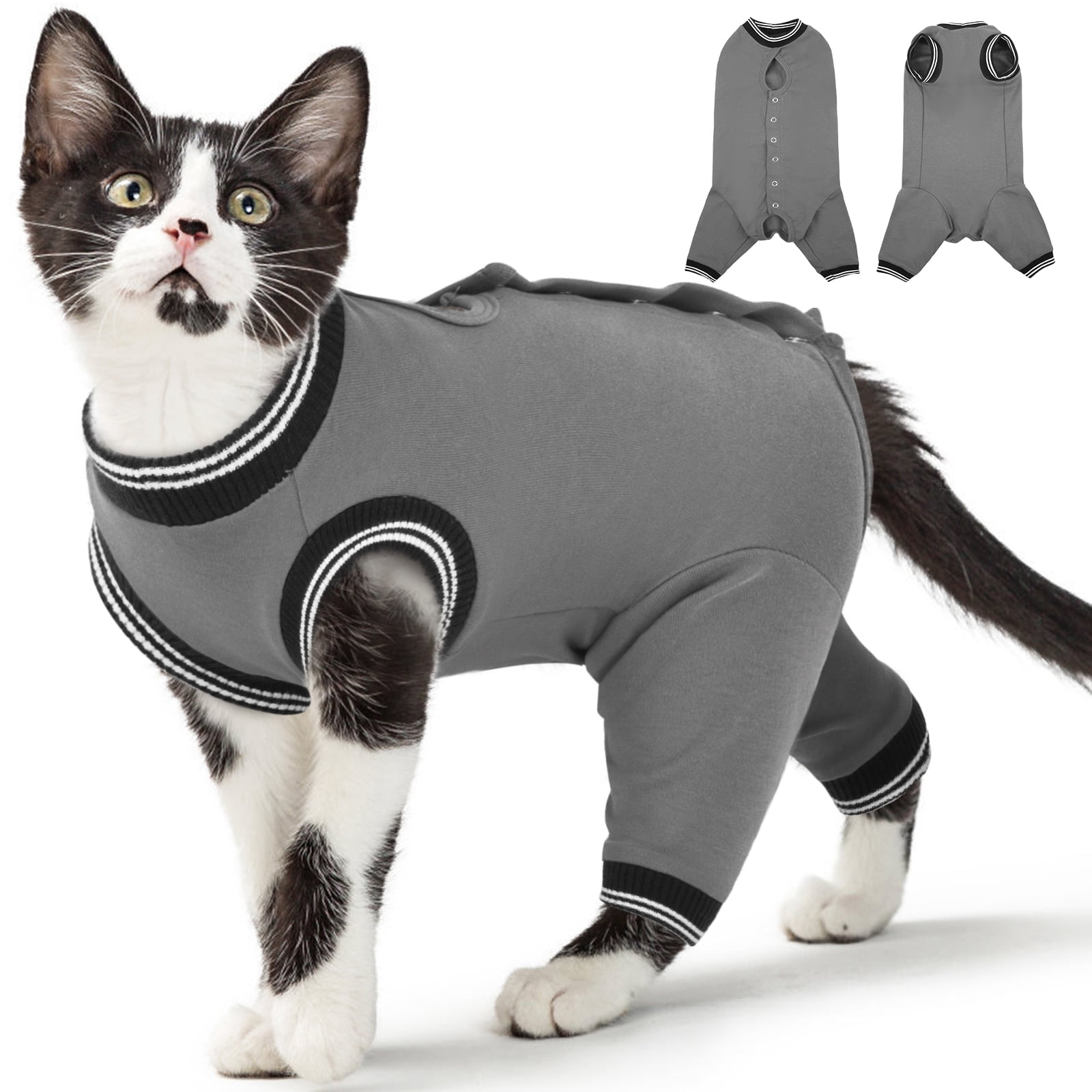 cat personページ 6121.jpg