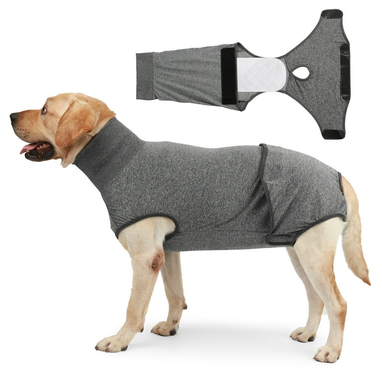 Cone protector top for dogs