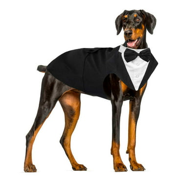 Kuoser Dog Tuxedo Dog Fromal Suit and Bandana Set Dog Wedding Suit for ...